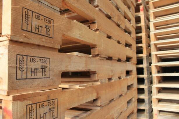 Bán pallet gỗ tải trọng 1500kg tại Hải Phòng