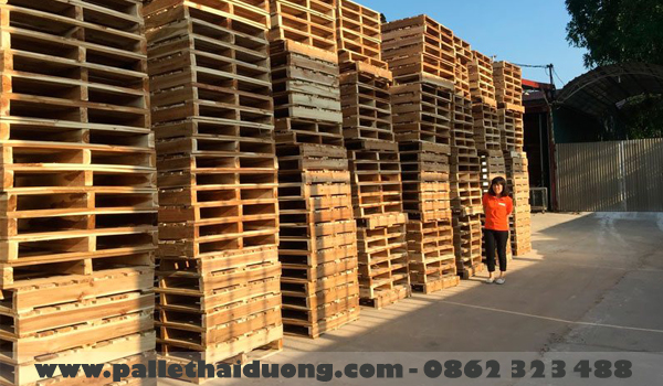 Đóng Pallet gỗ theo yêu cầu tại Quảng Ninh